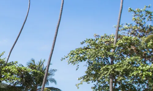 Mira Montra Resort Koh Mak