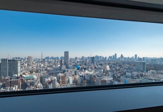 호텔 그레이스리 신주쿠