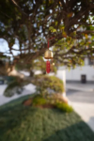 Suishanju Homestay (Jingshan Ancient Path) Hotels near Rainbow Valley