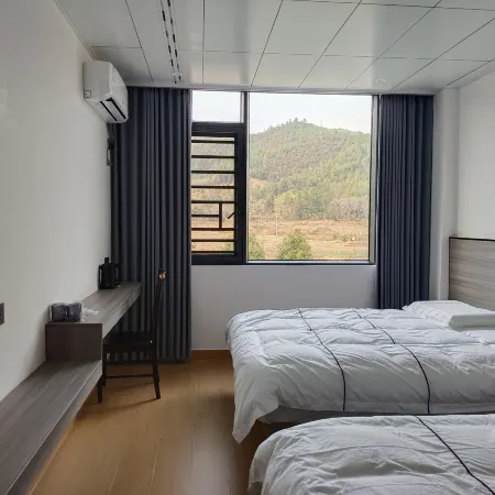 Longnan Taoyuan Lijing Homestay