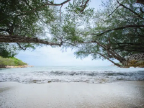 Kira Baya 沙美島 沙美島酒店