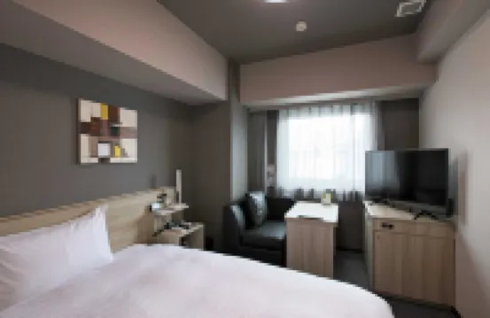 HOTEL ROUTE-INN HIRATSUKAEKI KITAGUCHI