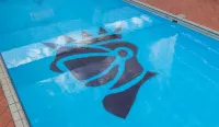 Stamford Plaza Sydney Airport Hotel & Conference Centre - Gym