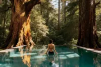 CLOUDS 13·Forest Hot Spring Resort - مسبح على السطح