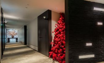 X·Aptism xinyu