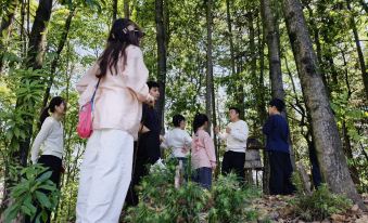 Wuyuan Yunshang Qingye Villa Designer Resort hotel