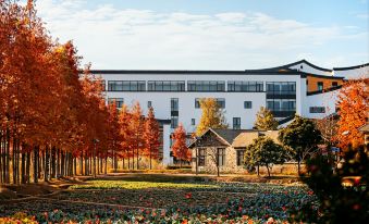 Arcadia Village Hotel