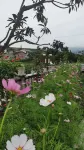 Shiquan Jingyuan Ecological Farm Homestay