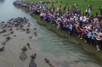 Xian Qinya Hotel (Peng'an Wuxing Garden) Hotels in Peng'an