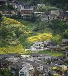 Longsheng Longji rice homestay