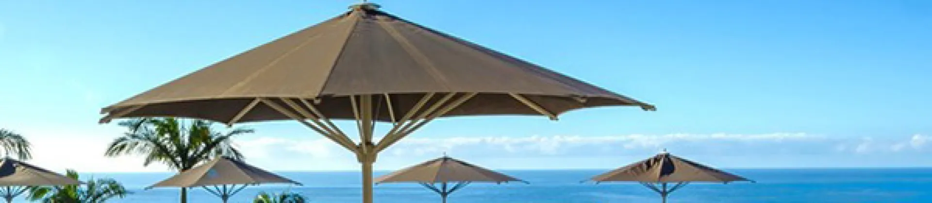 Scenic Hotels