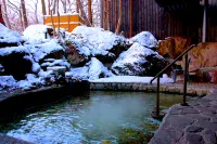 Resort Hotel 樂氣屋那須 - SPA