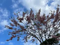 Lai Jou Bu B&B - Pet friendly