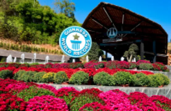 Moc Chau Island Mountain Park & Resort - Wi-Fi