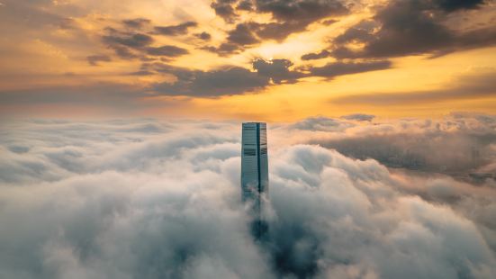 The Ritz-Carlton, Hong Kong
