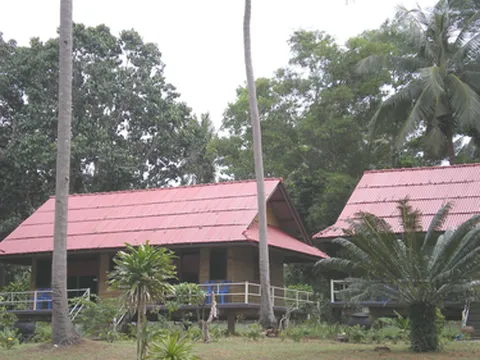 รูปภาพของสุกรอันดามันบีชรีสอร์ท