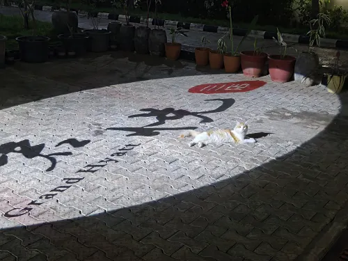 JUN YUE Hotel(Abuja Conference Center Branch · Chinese-friendly ) Khu vực công cộng Photos