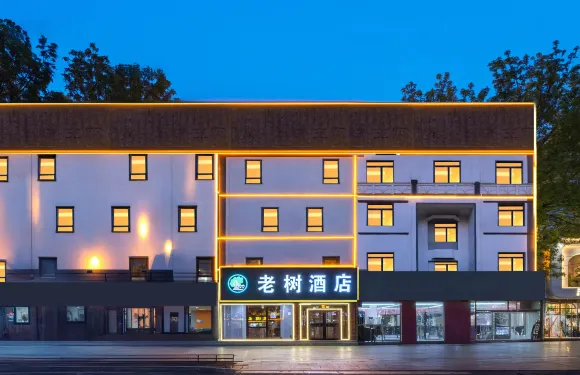 老樹酒店（滄州肅寧火車站店）