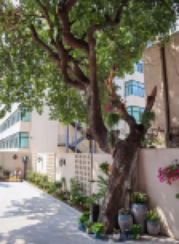 遇見海美墅·Beauty villa（北戴河老虎石店）