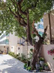 Meet the sea·Beauty villa