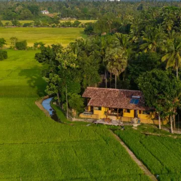 Kirindi Paddy Isle