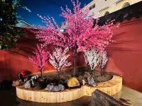 墨語·桃花閣|宋式美學民宿（萬歲山大宋武俠城店） - 2 星級
