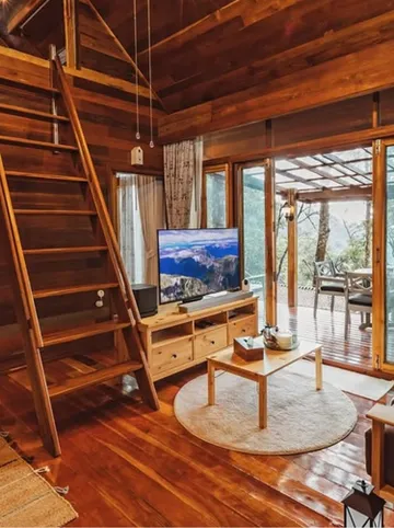 รูปภาพของเดอะจังเกิ้ลทัช