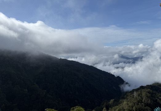 The Artz Hotel 외관