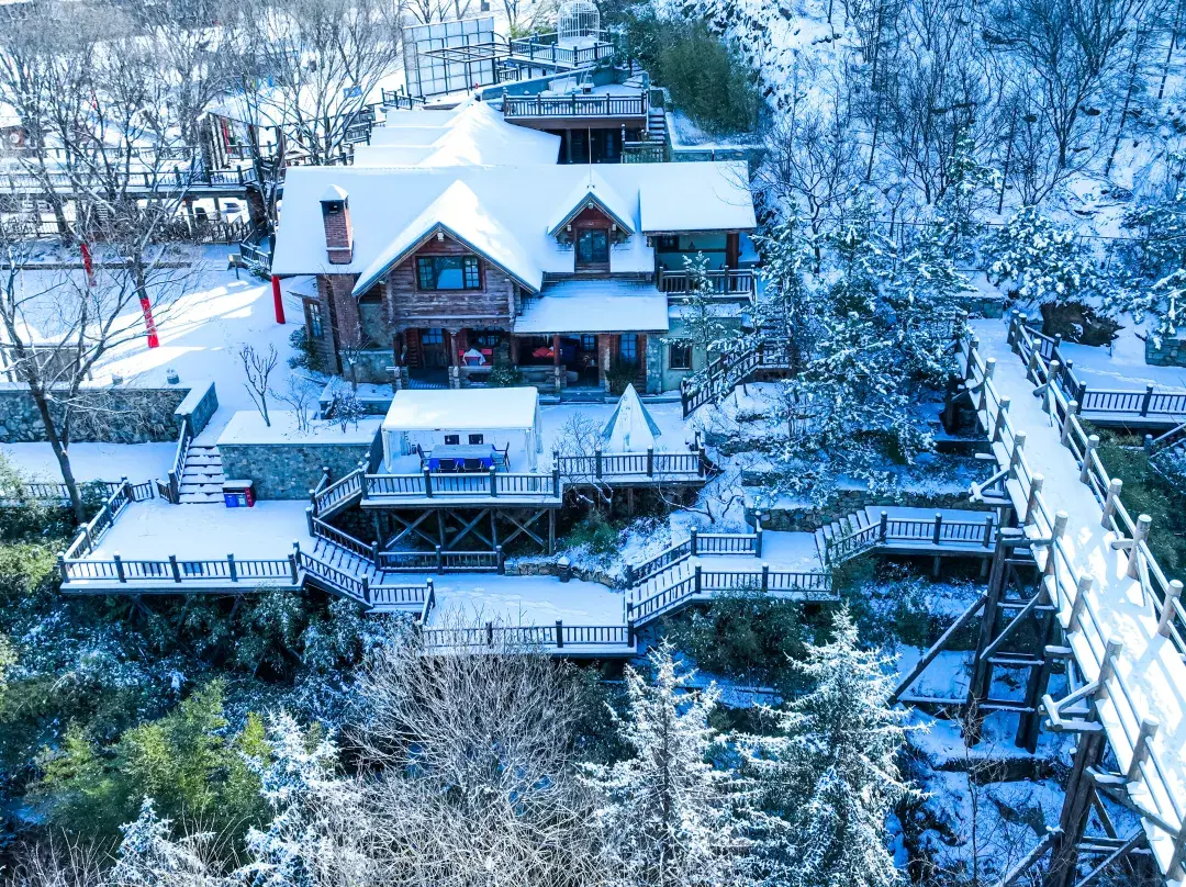 Jiurushan Cat's Nest B & B - Jinan
