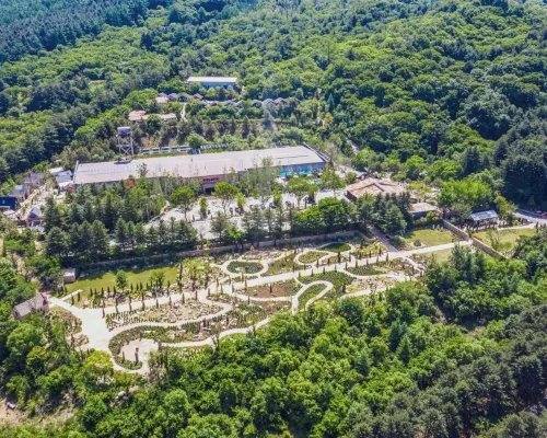 Gapyeong the Stay Healing Park Hotels in Gapyeong-gun