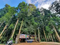 Youlien Campsite