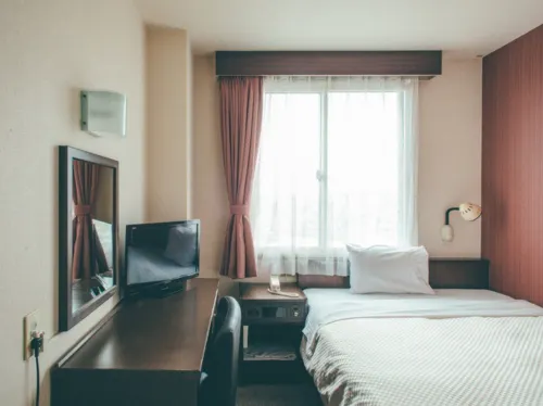 Toyohashi Station Hotel - parking