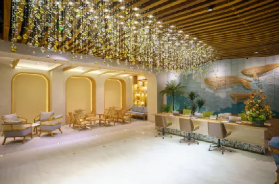 芽莊森維高級酒店 酒店