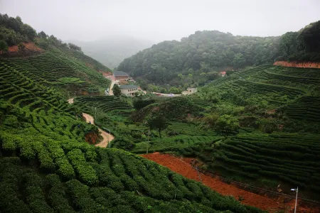 Zijin Yingfengshan Cha Lü Featured Homestay