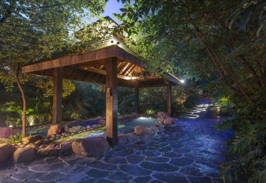 래디슨 블루 호텔 온천