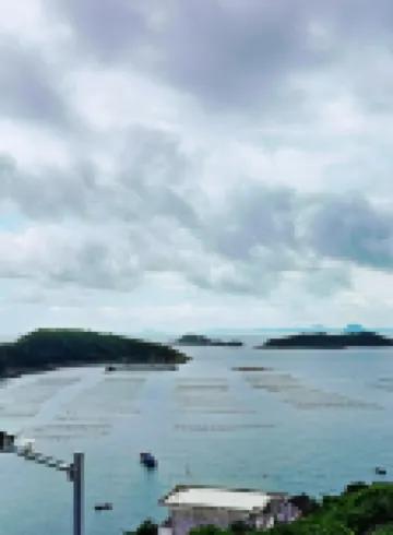 Taizhou Dachen Island Wanghaiyunjuhotel