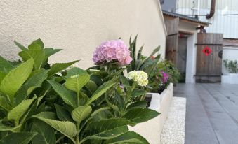 Wuyishan Taixitang Homestay