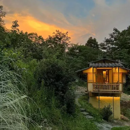 Dayigu Small Forest Homestay