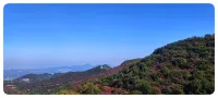 Gongyi Zhulin Changshou Mountain Villa - Mountain view