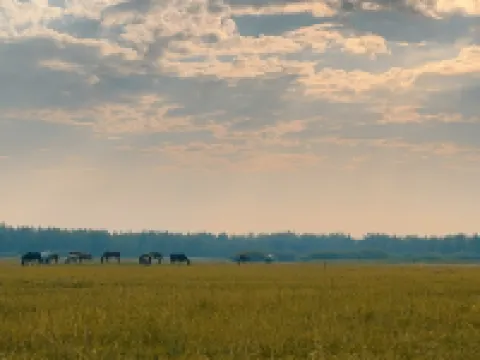 Trip.com Group Country Retreats Duolun Langji Ranch Joint Resort) Hotels in Duolun