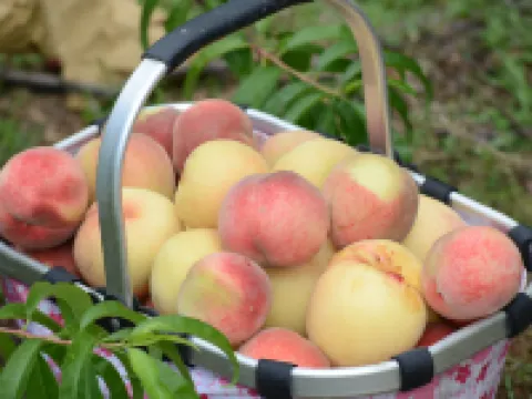 Colorful Resort Hotel Hoteles en Sishui