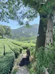 Hangzhou Chazhumei - 인 (Inns)