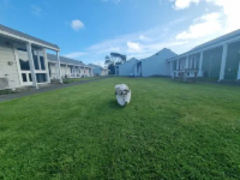 The Furlong Hotels in Hawera