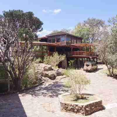 Lobo Wildlife Lodge Hotel Exterior