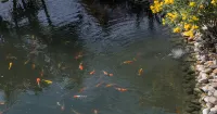 U Luang Prabang