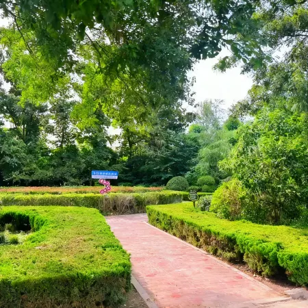 Shuiyi Jianianhua Hotel