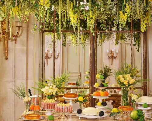 Le Meurice Espaces Affaires Photos