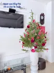 Dong Phu Hotel Da Lat