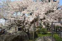 Daiwa Roynet Hotel Morioka - Scenic