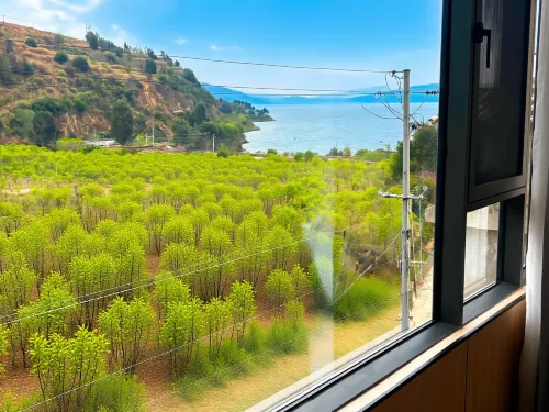 撫仙湖湖山逸境居民宿